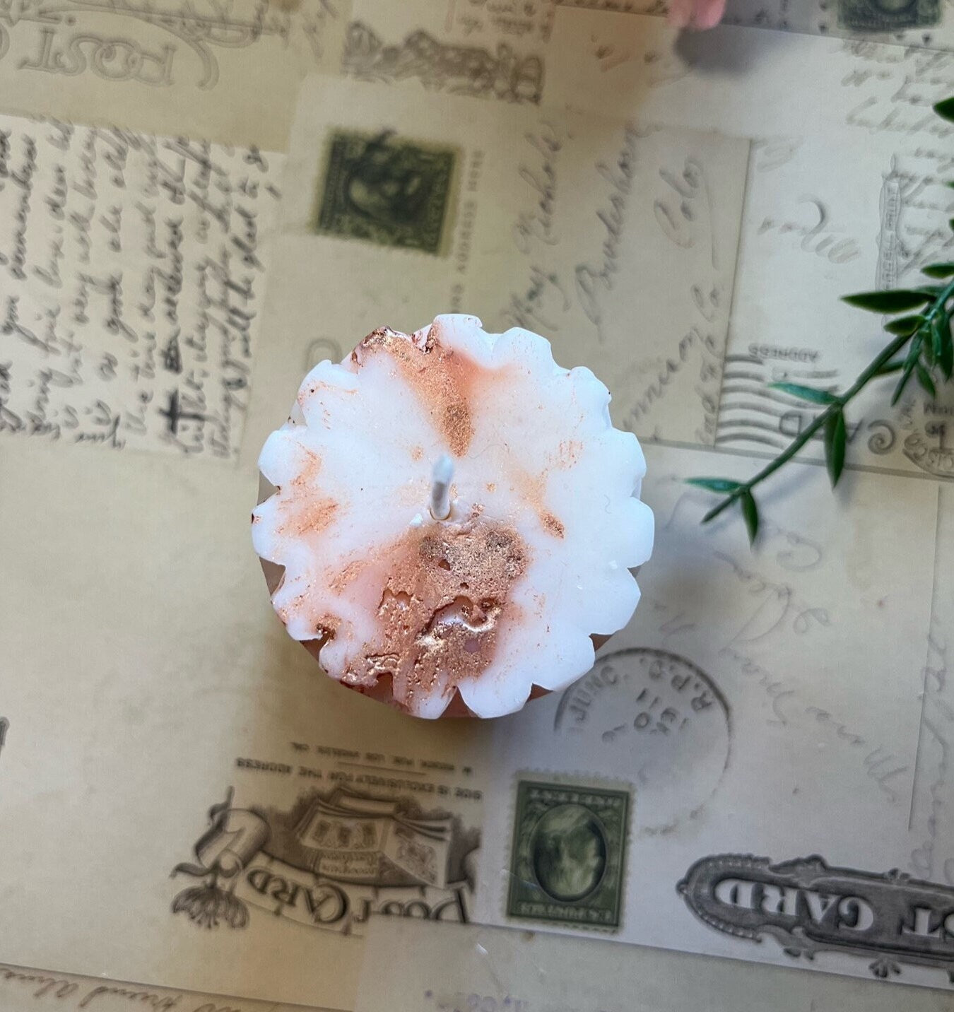 Rustic Honeycomb Candle Set with Dried Flowers and Mica