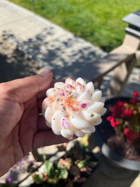 Soy Votive Candle with Dried Flowers: Favors Giveaways