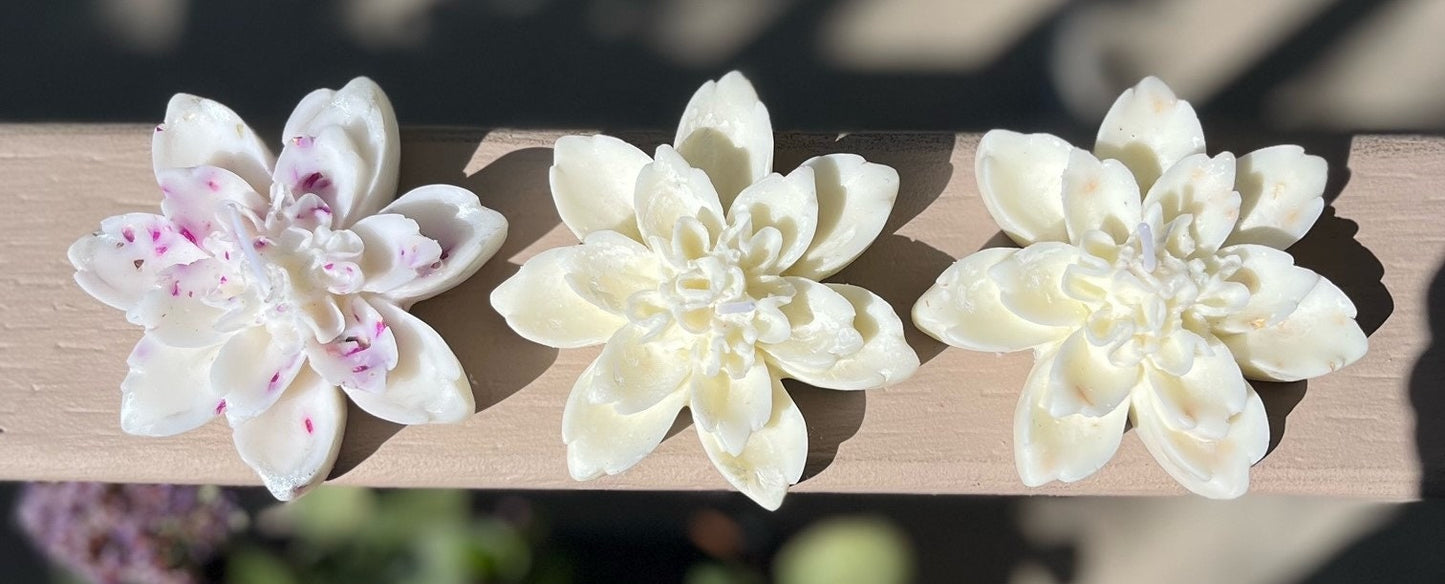 Dahlia Flower Soy Candles with Dried Flowers: Wedding Favors, Set of 20.